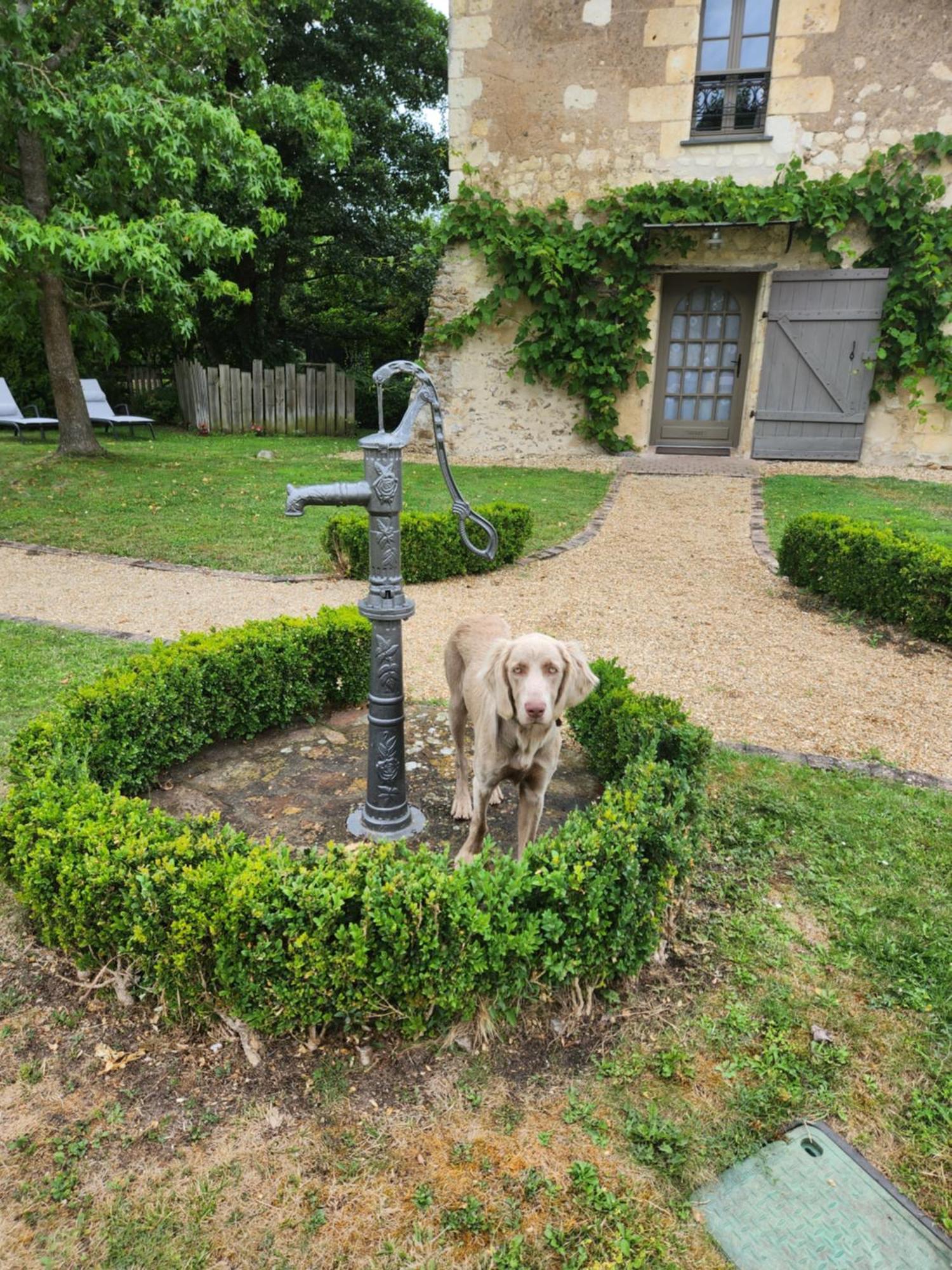 La Tour Du Grand Boust Holiday home *